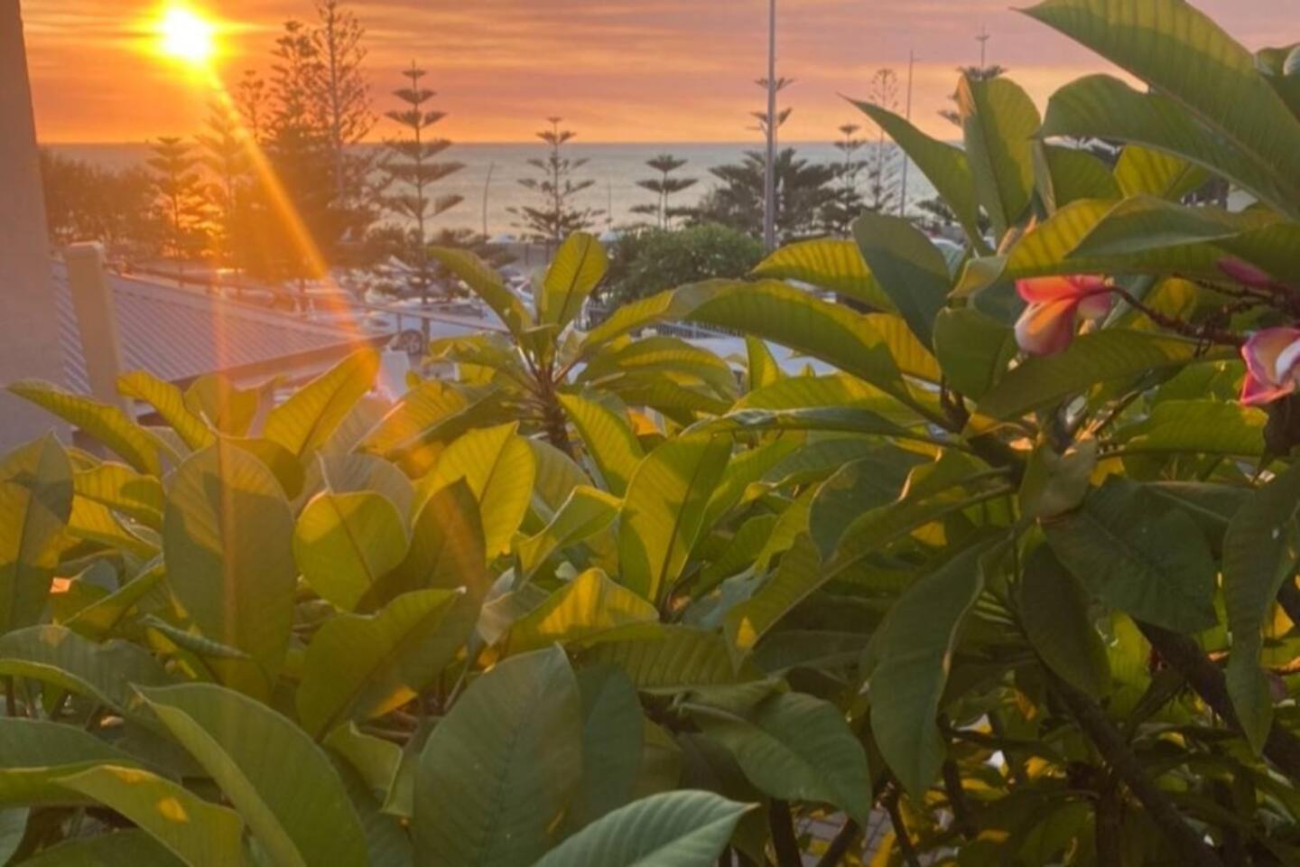 Scarborough Beach Front Resort - Shell Ten Perth Dış mekan fotoğraf